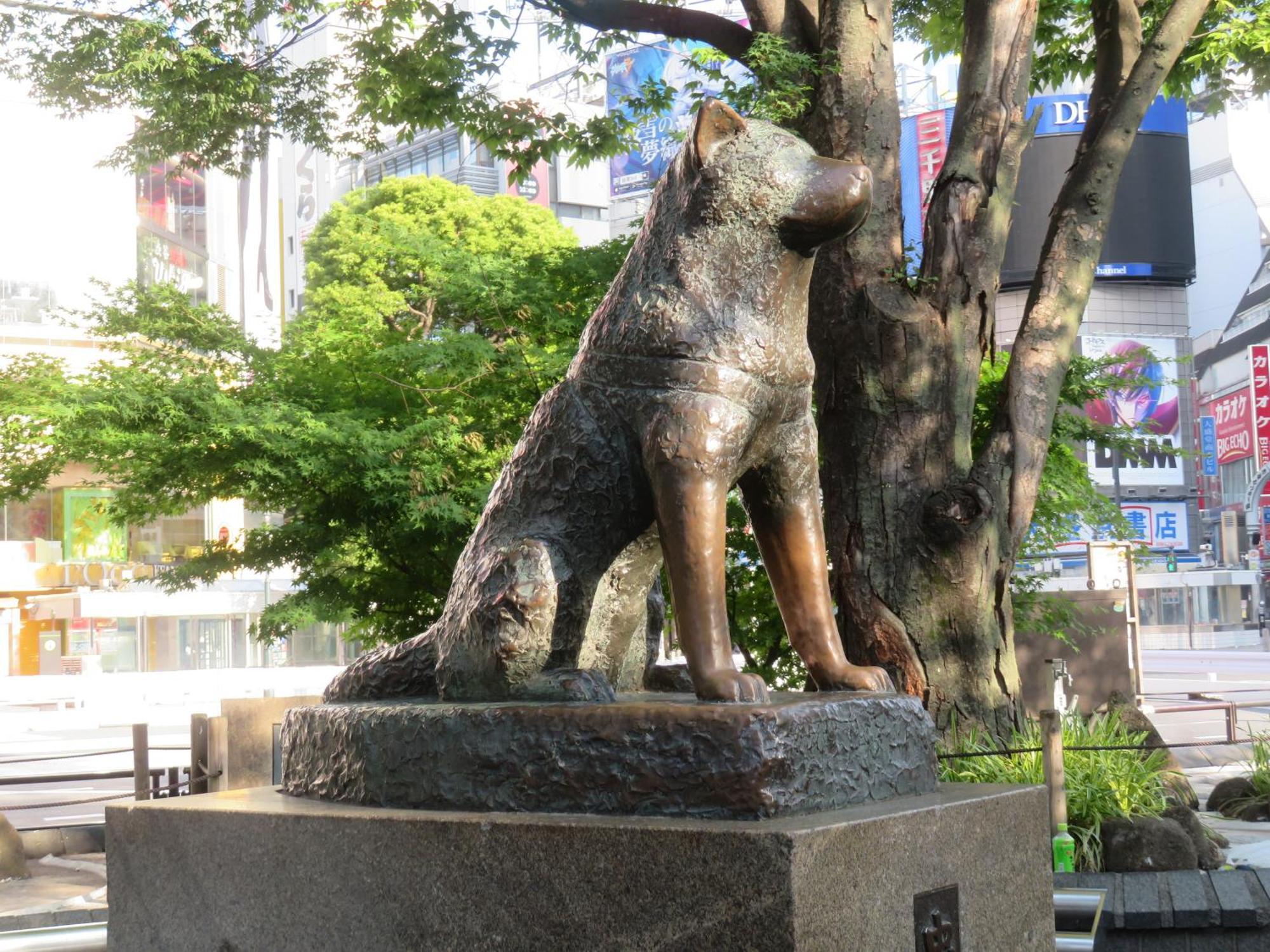 Apa Hotel Shibuya Dogenzakaue Tokyo Luaran gambar